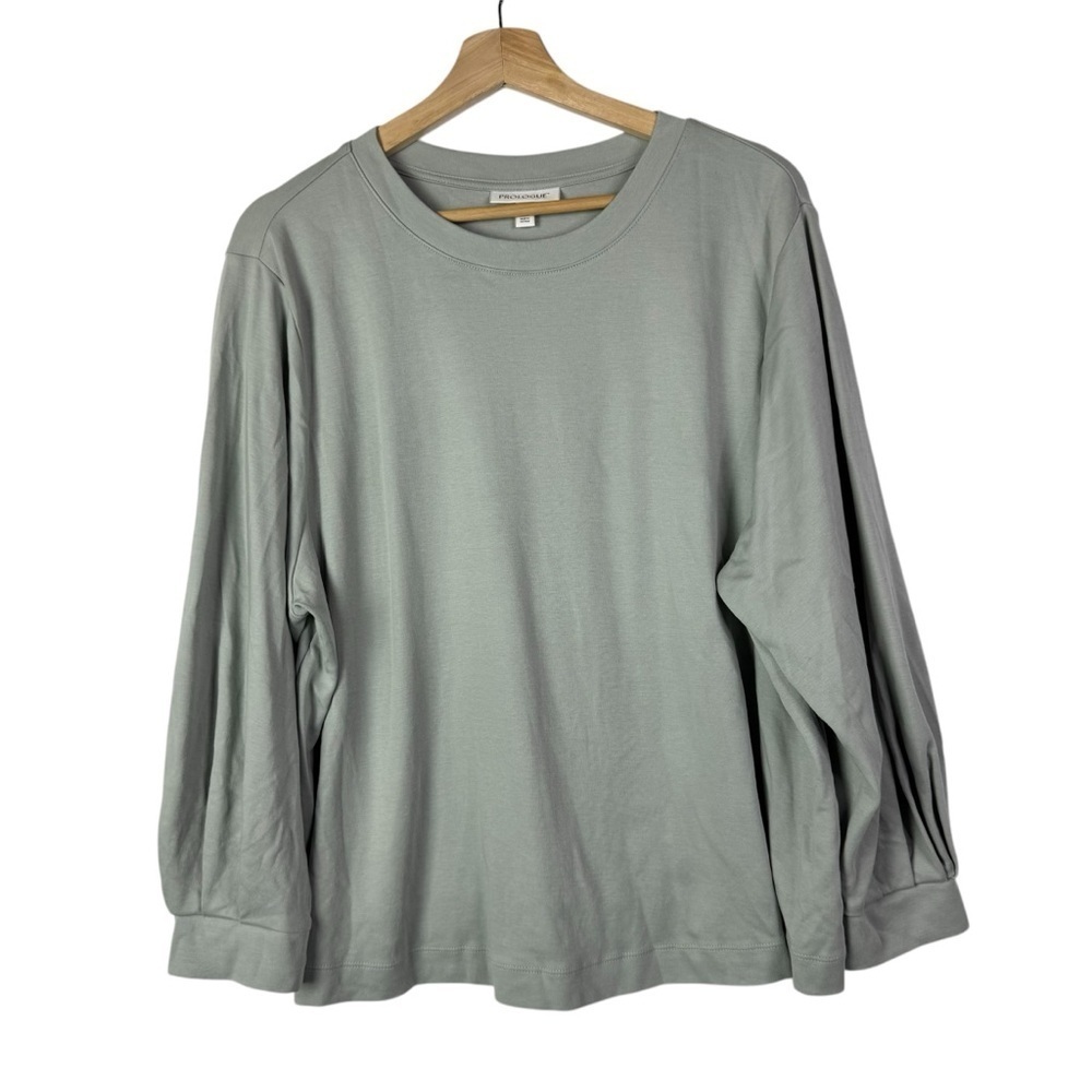 Prologue Light Sage Green Crewneck Long Sleeve Top XXL